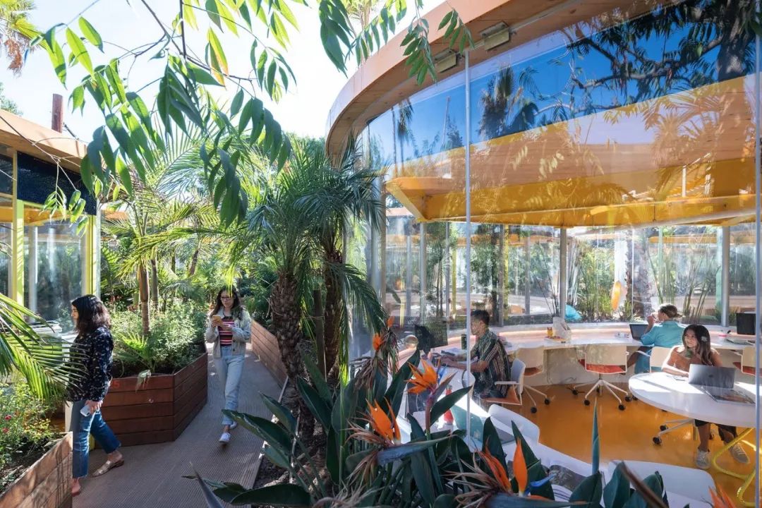 2019 全球创意办公空间盘点,惊艳的不仅仅是设计!-253