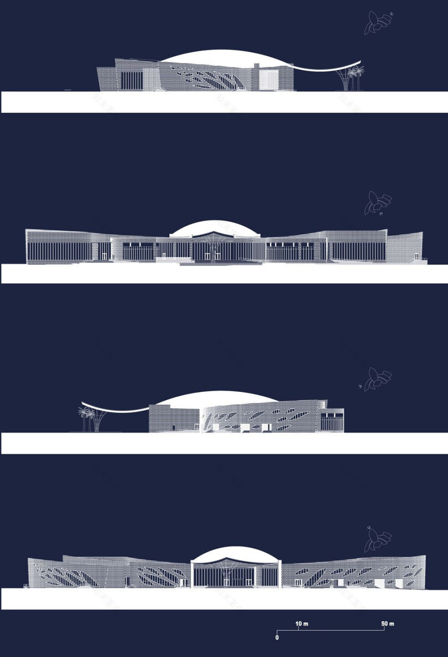 阿布扎比女士俱乐部-54