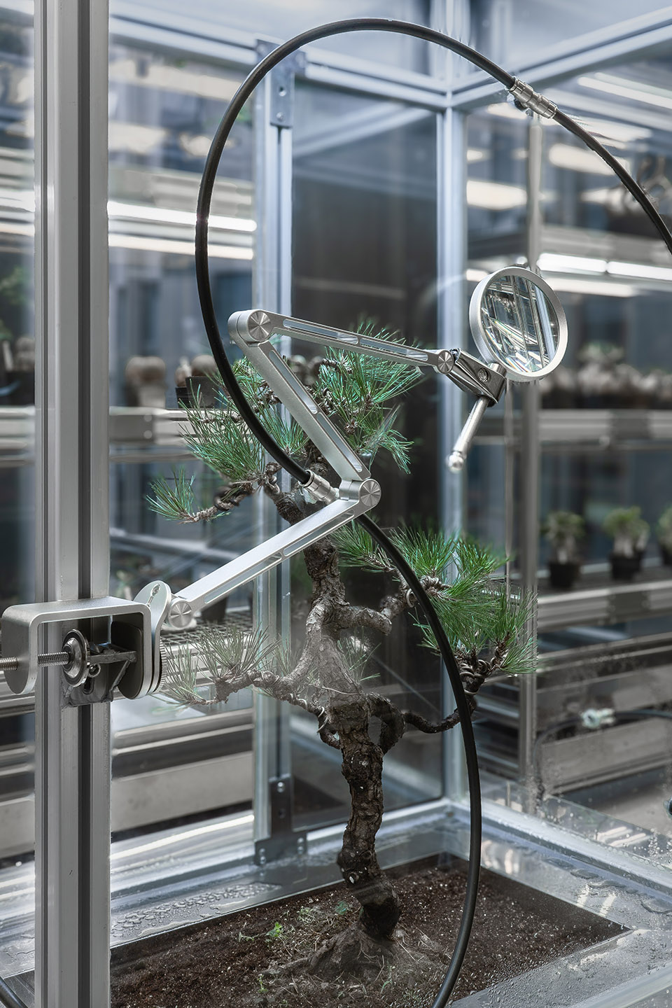 OASIZ 绿洲（HAUS NOWHERE 店）丨中国深圳丨Ruhaus Studio-38