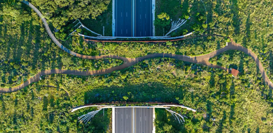 罗伯特·L·B·托宾跨桥丨美国丨STIMSON + Rialto Studio-25