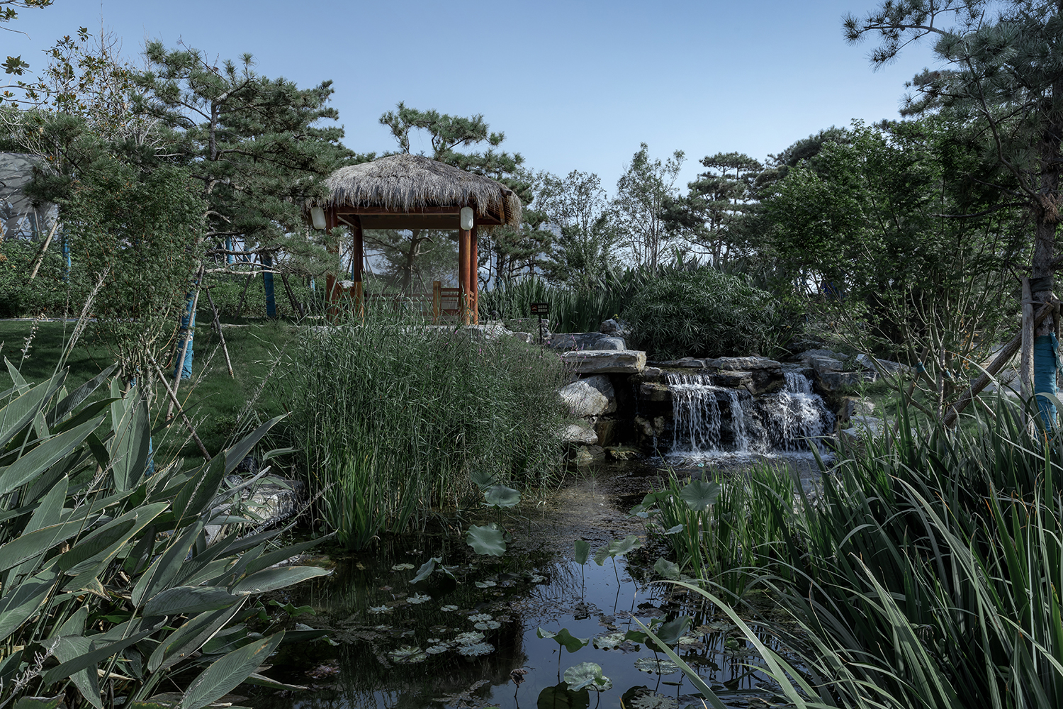 洛阳九洲池公园-22