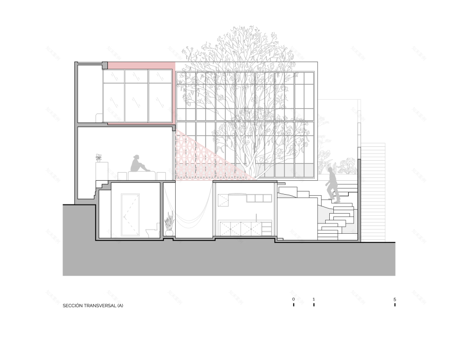 弗吉尼亚州众议院丨墨西哥瓦哈卡丨ET.co-45