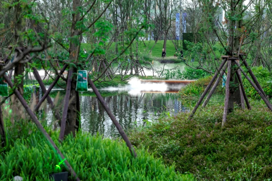眉山桃园湖公园-18