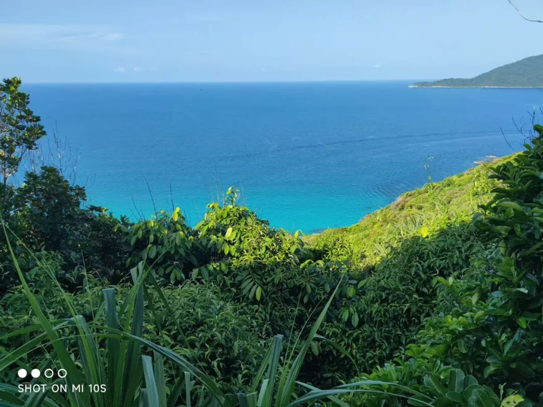 经验谈No.281｜看工作党收割UCL/米理等offer！毕业后脱产申请，白天上班、晚上做作品集连斩名校offer！-84