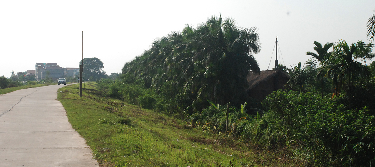 越南河内，传统与现代交融的"L"型绿色住宅-1
