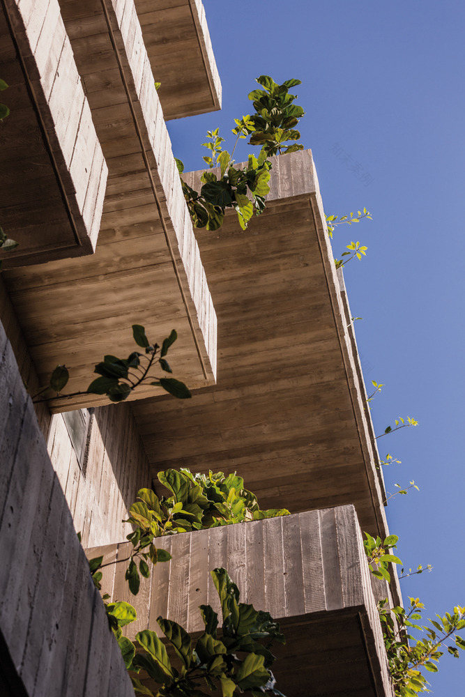 肖特巷伍兹巴戈特-70