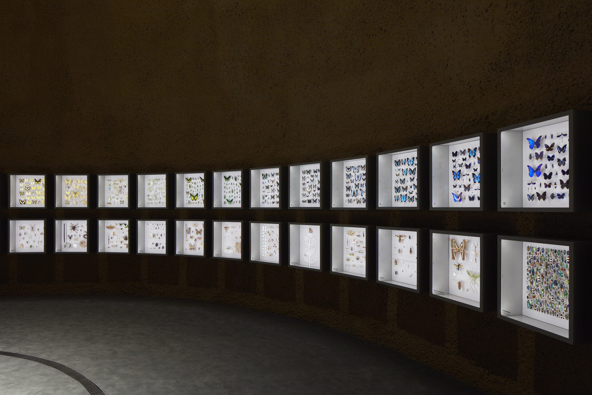 蒙特利尔昆虫馆丨加拿大蒙特利尔-32