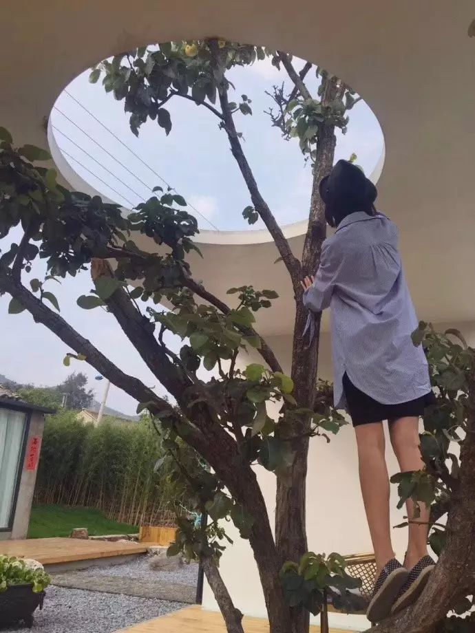 北京城外竟然有这样美如画的民宿，引明星乔杉来小住不说，日接待参访客人最高达到80多人-58