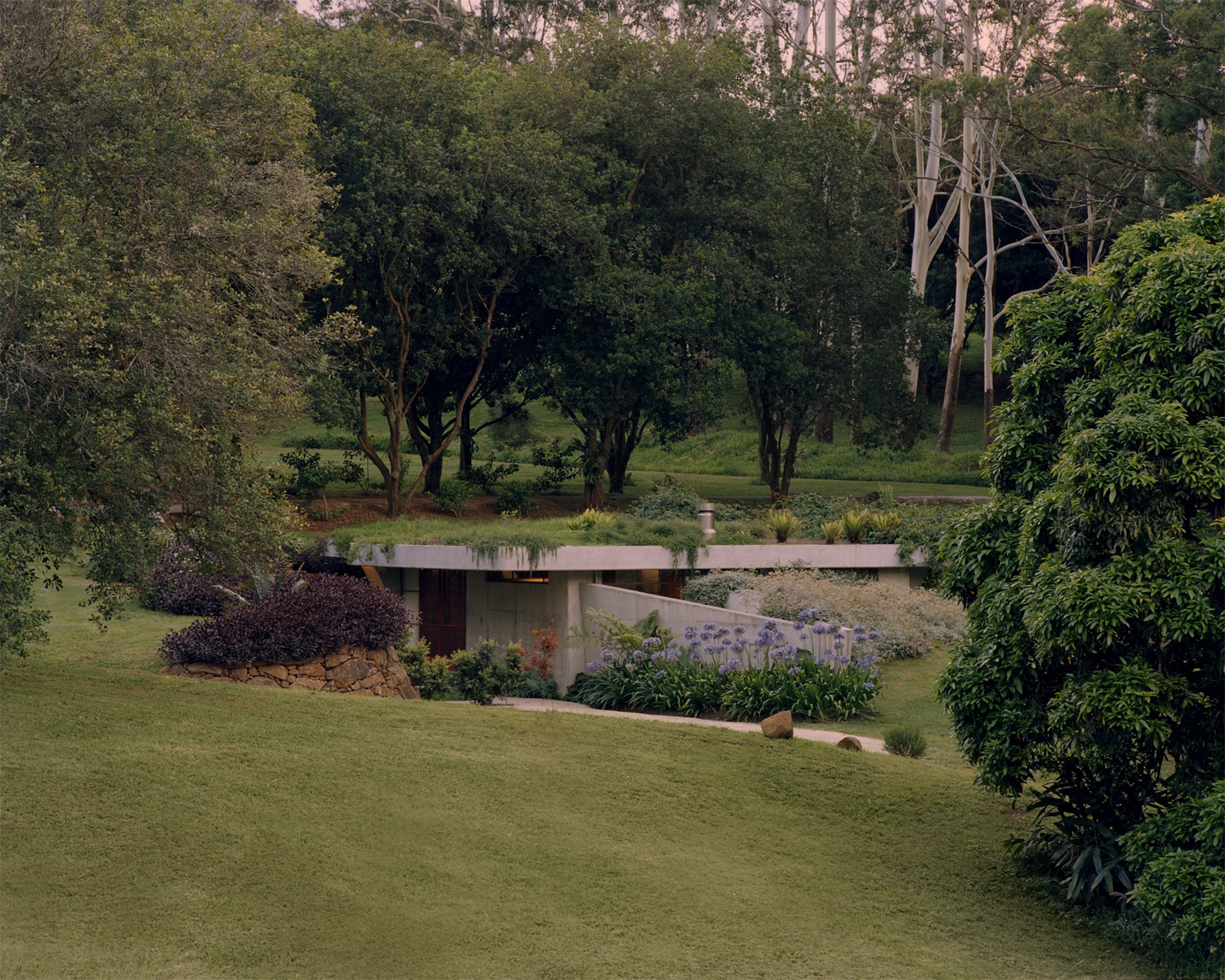 帕洛玛丨澳大利亚悉尼丨Fearon Hay-47