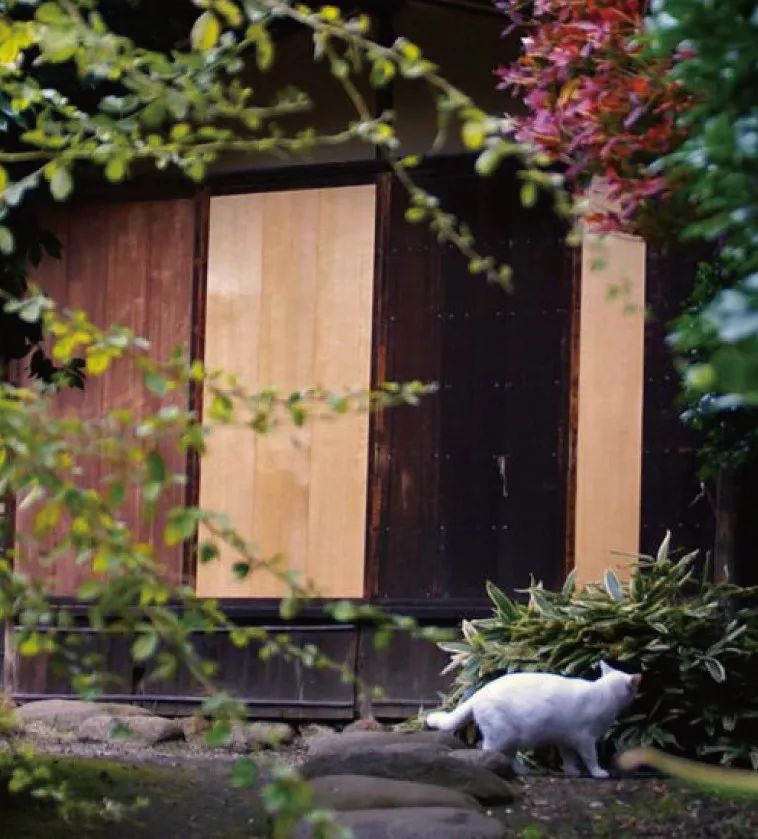 日本坪庭设计 | 微缩自然,打造静谧空间-51