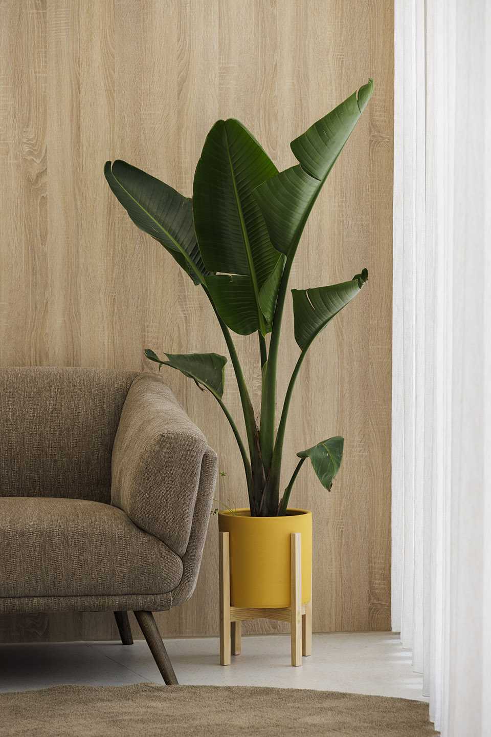 MOOD 牙科诊所丨Tsou Arquitectos-19