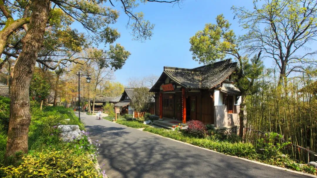 杭州“山中茶街”文化博览园景观丨中国杭州丨杭州园林设计院股份有限公司-23