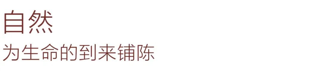 鱼棠二店丨中国河北丨叁上叁装饰设计有限公司-17
