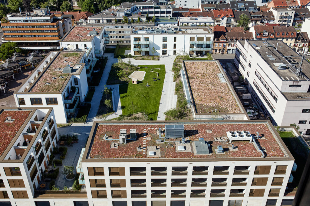 丨德国丨Venus等相关团队（ECE等）-30