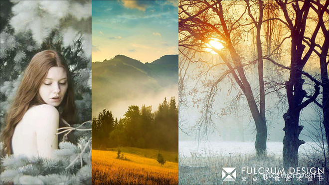 50万元四居及以上160平米装修案例·华丽的“森系”变奏曲-13