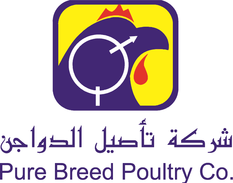 中东家禽 E·波 2023丨Ross&Taseel-3