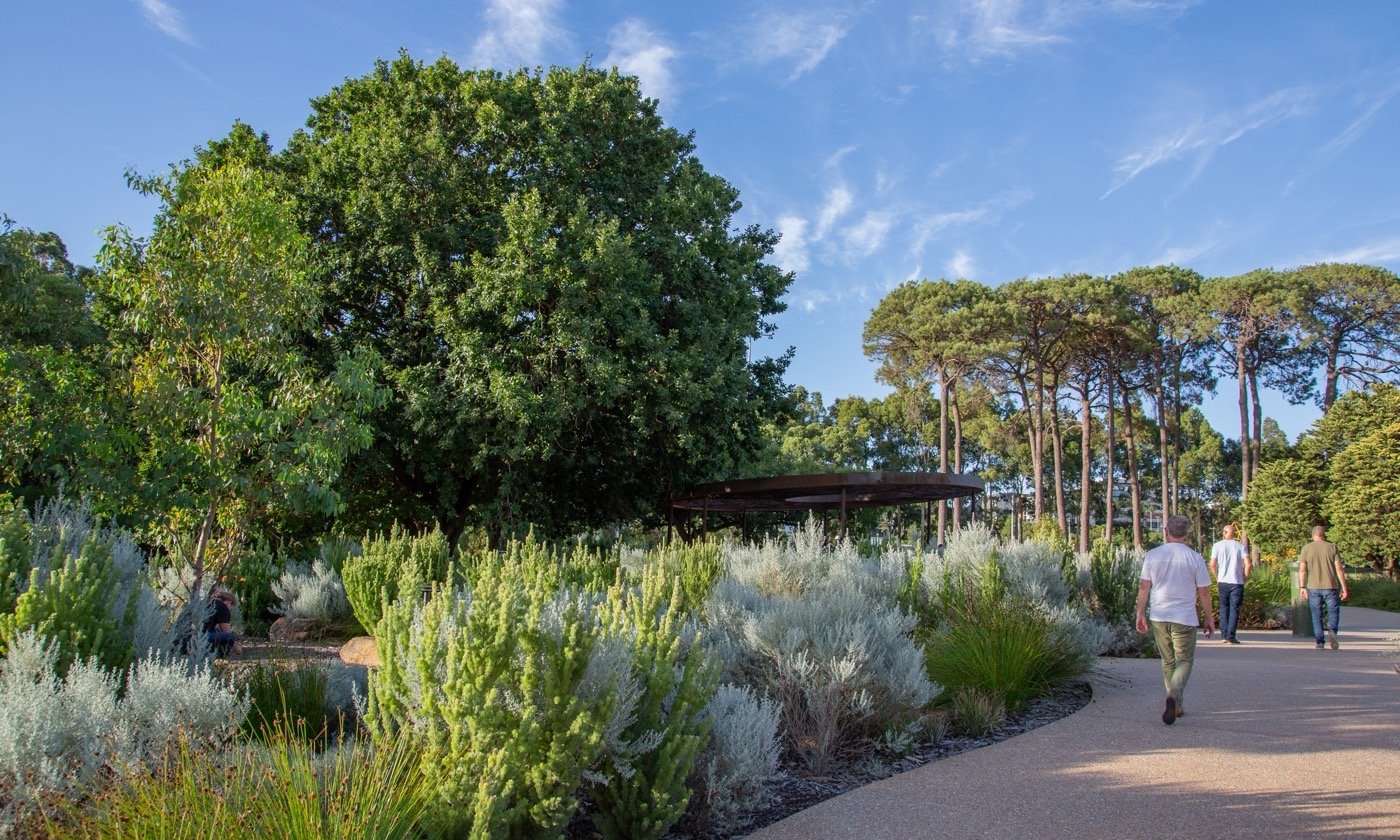 澳大利亚科廷大学土著学习圈丨澳大利亚珀斯丨科廷大学设计学院-14