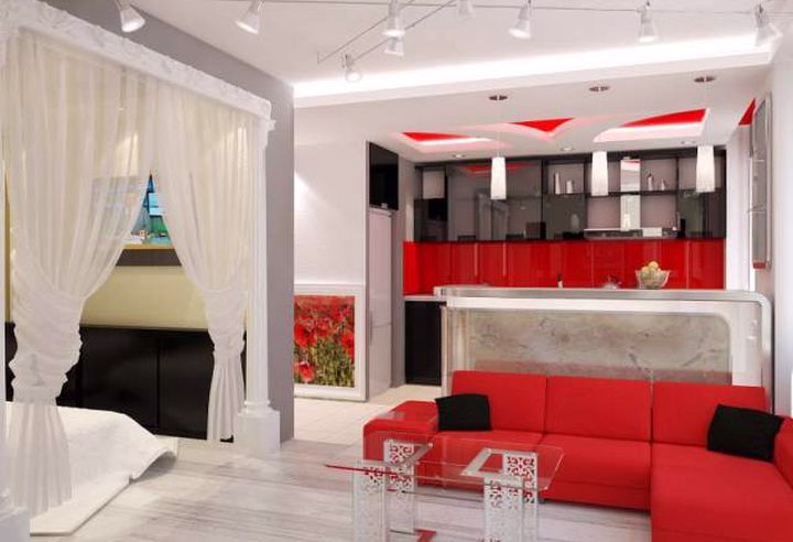 35平米一居室公寓设计-4