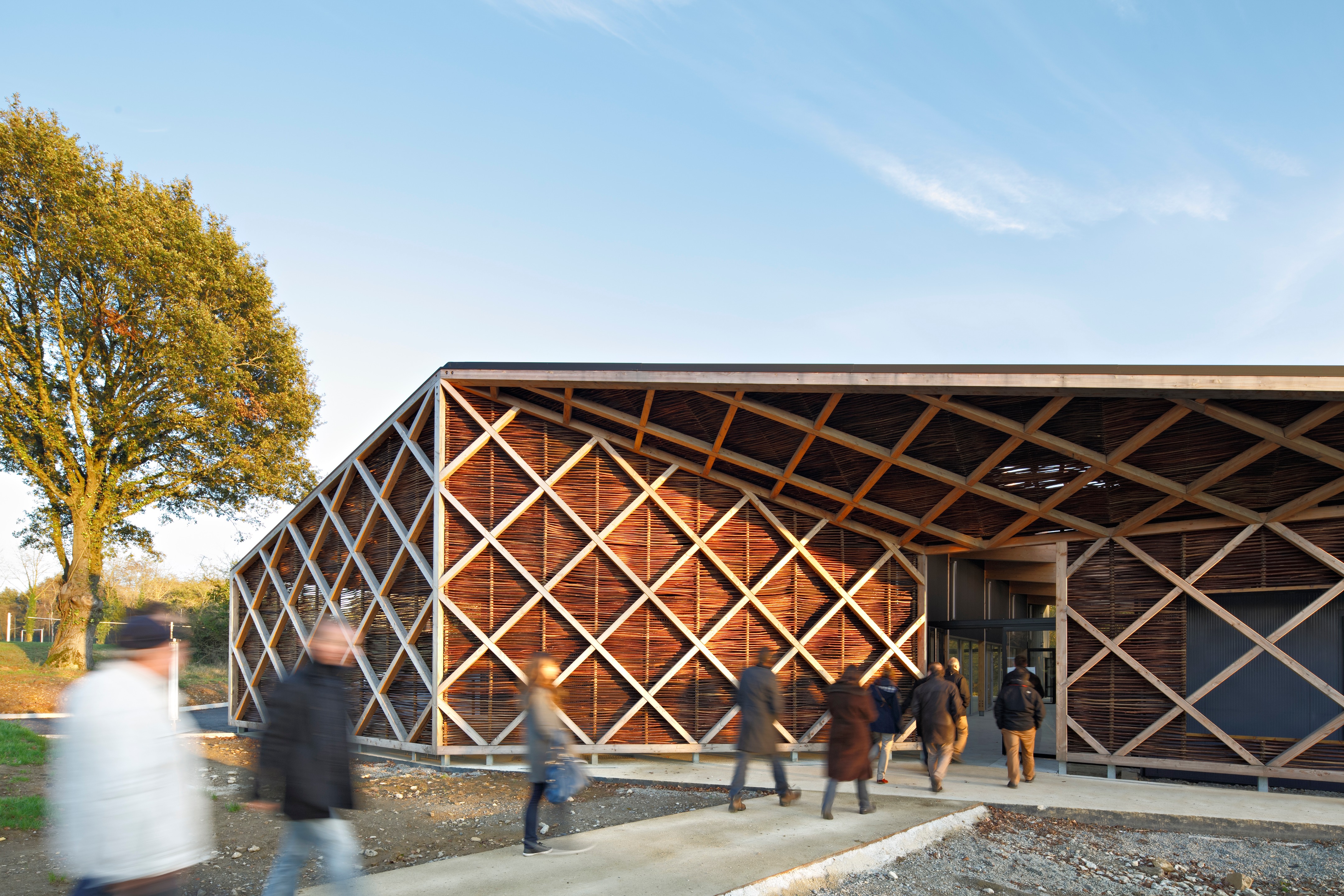 校园绿意 · 蔬菜加工车间与教学结合的设计-41