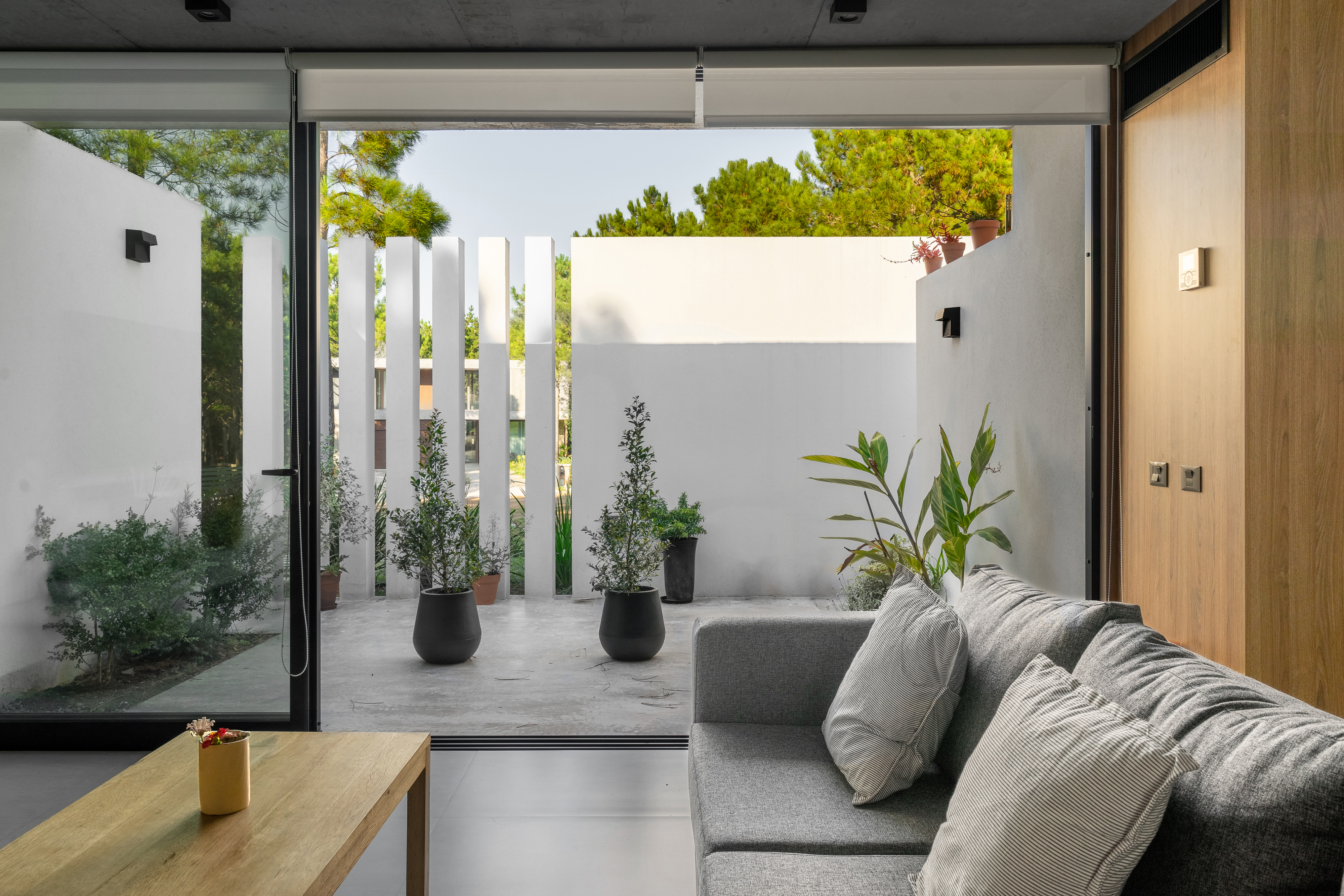 Casa Escritor Arq. Luciano Canissa-3