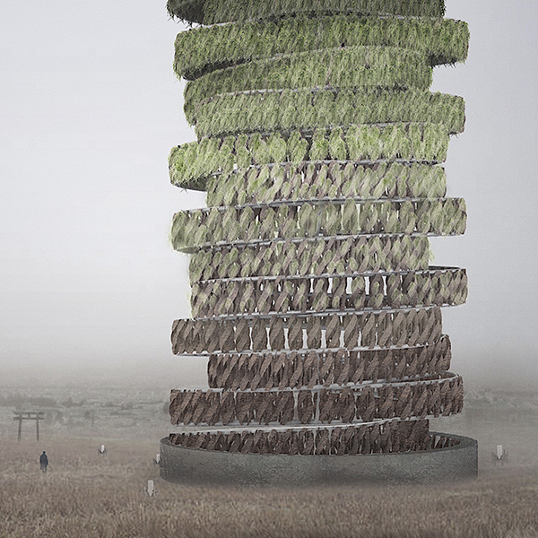 ACT  Sr137土壤净化项目-1