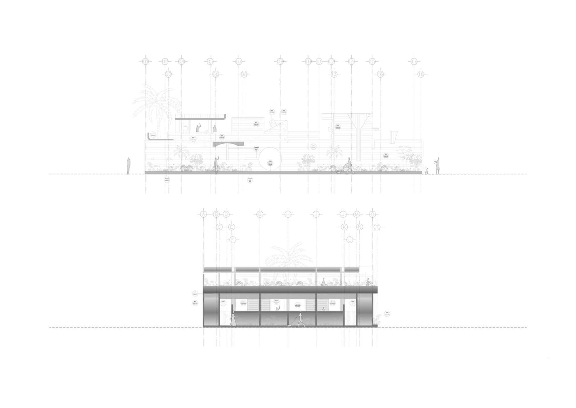 房子丨墨西哥丨Ludwig Godefroy Architecture-33