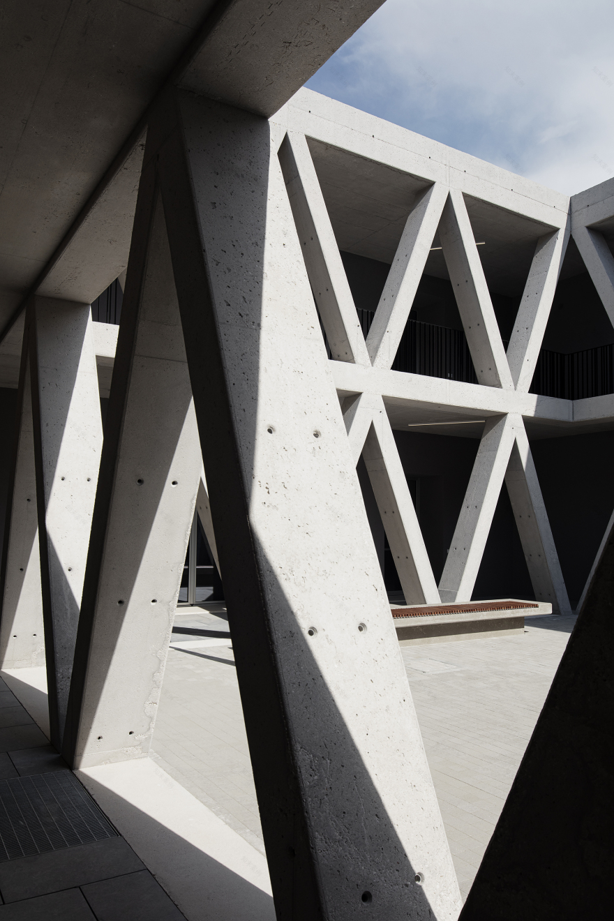 绿色庭院焕发校园新生命-12