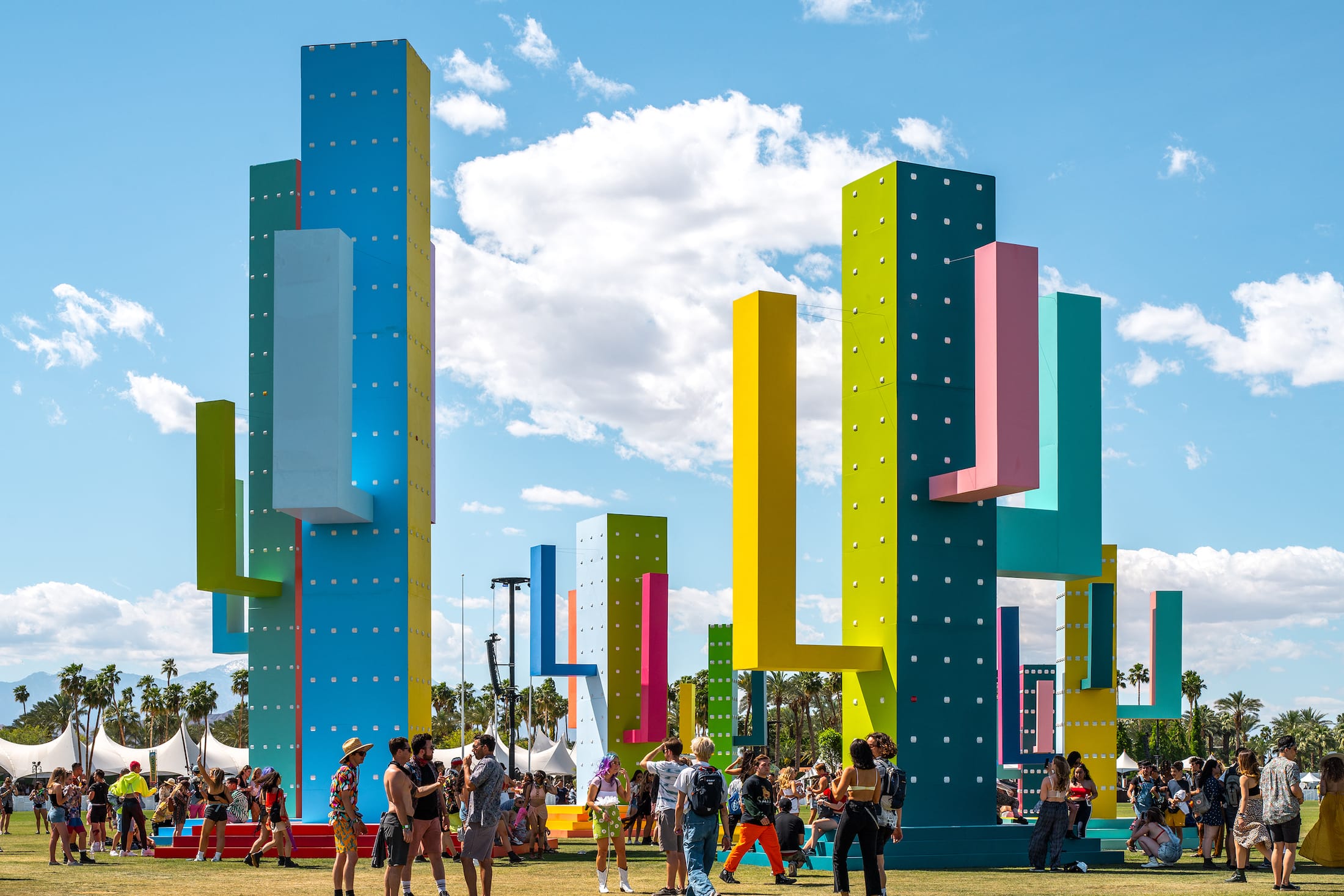 巨大仙人掌,科瓦奇办公室-4