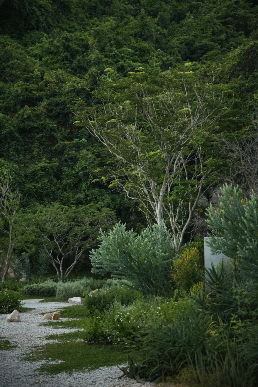 山岚褶皱处的寂静生长|阿那亚三亚景观秘境诗学-237