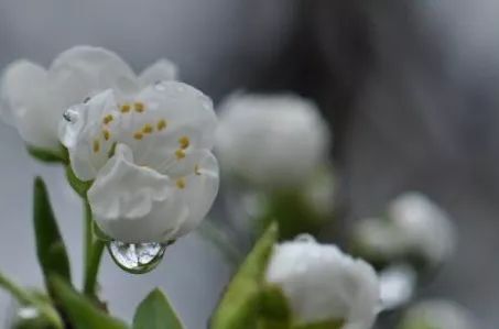 春雨中的紫禁城 | 历史与设计的完美碰撞-36