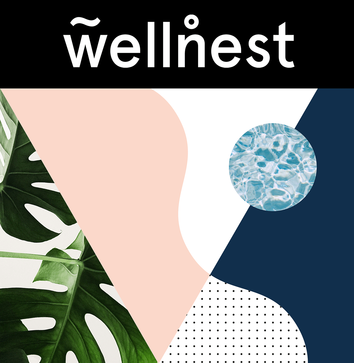 Wellnest 品牌空间设计-0