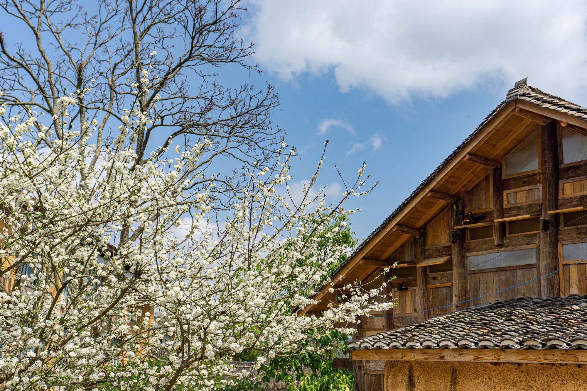 板万古寨乡村营造实践丨中国贵州丨大至设计-32