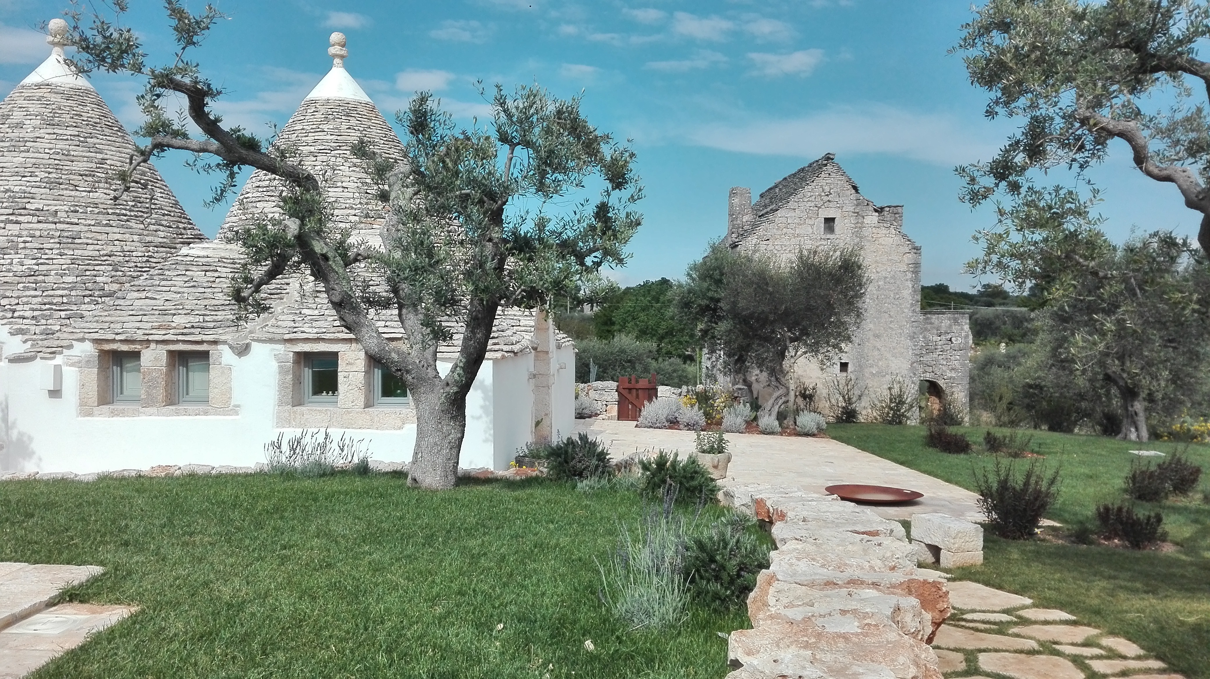 特鲁洛·雅典娜-6