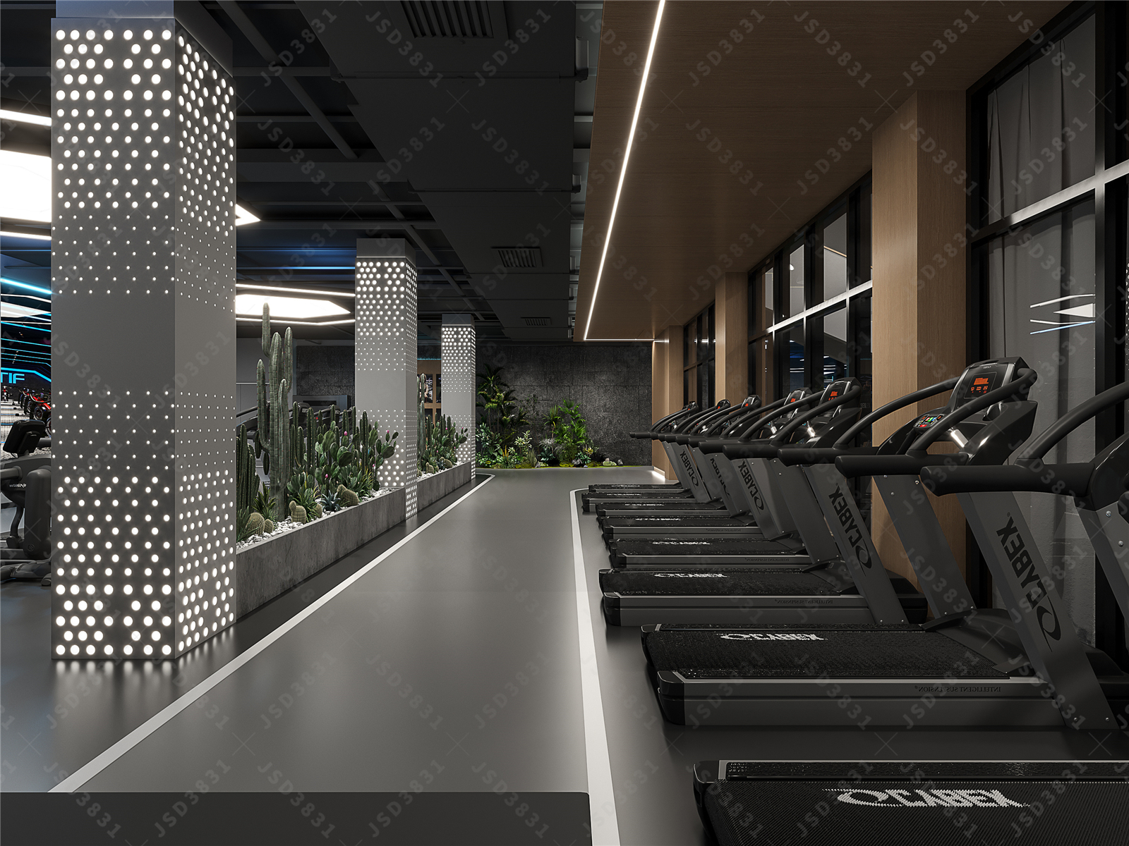工业健身房设计,公司健身房设计,会所健身房设计-3