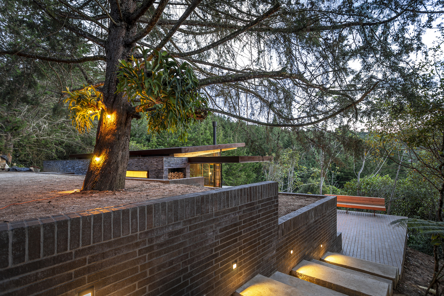 哥伦比亚山林小屋-30