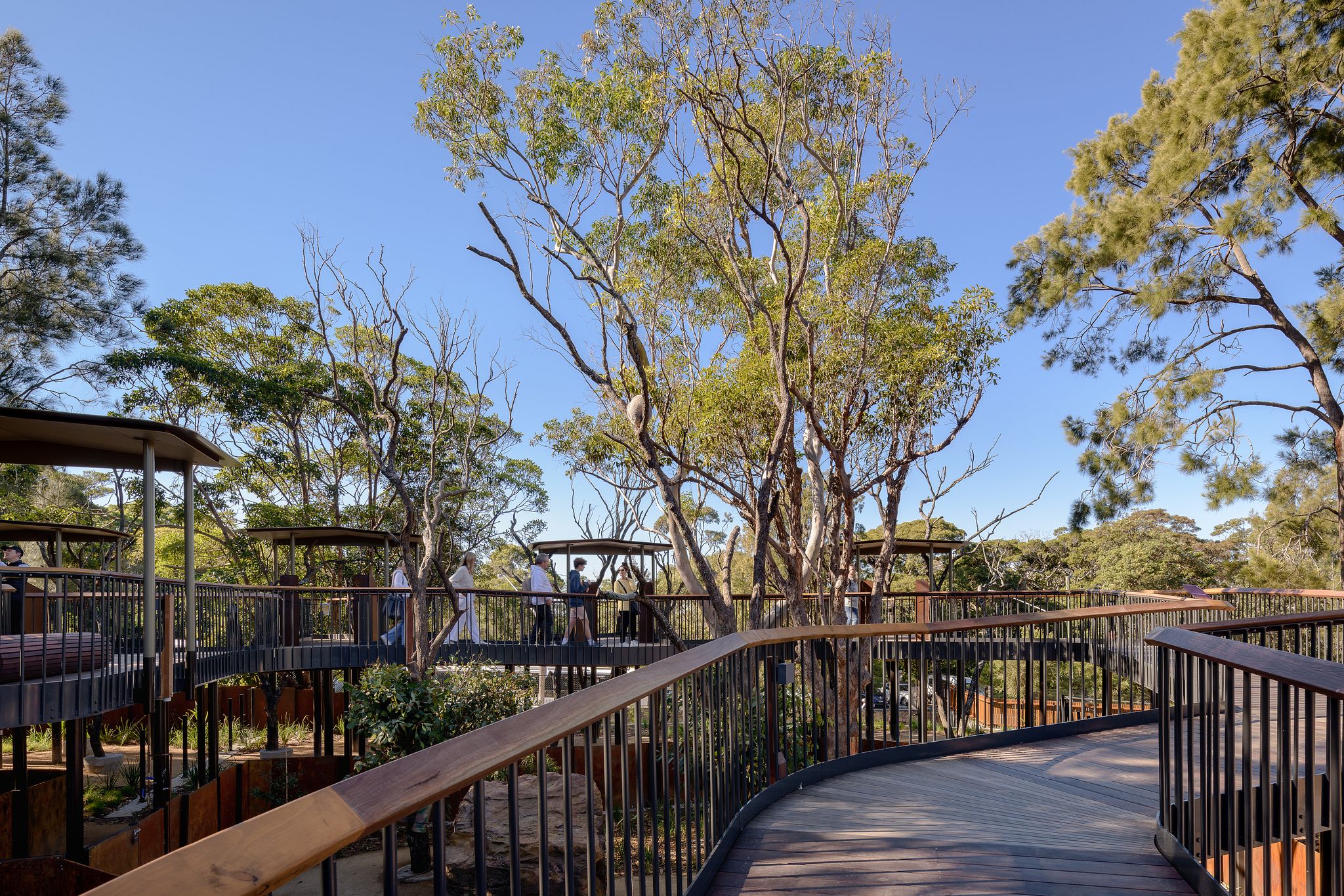 丨澳大利亚新南威尔士丨Lahz Nimmo Architects-11