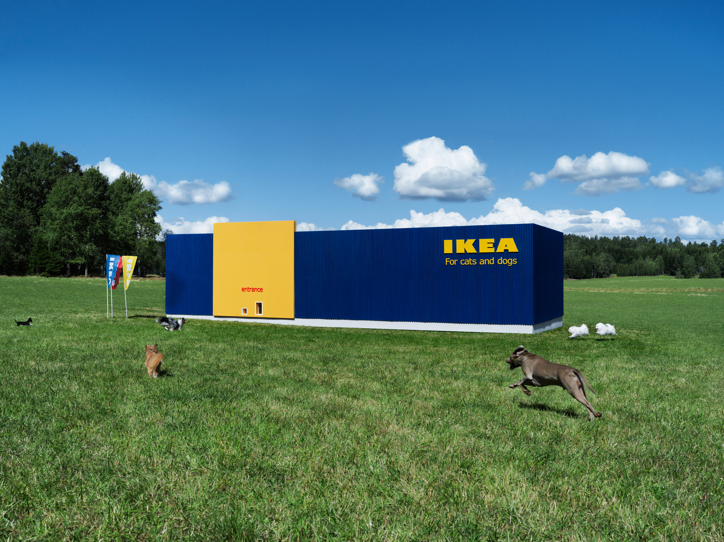IKEA launches first range of furniture for cats and dogs-17