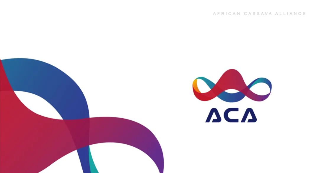 【非洲木薯联盟ACA】视觉形象设计-20