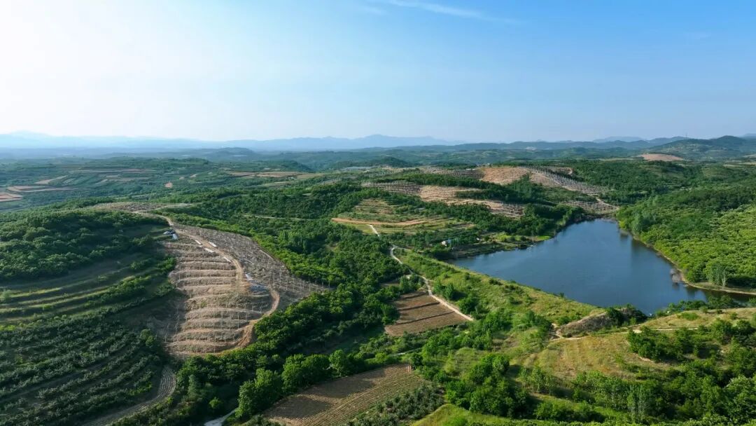 荒山“种”绿电，绘就绿色低碳发展新画卷-130