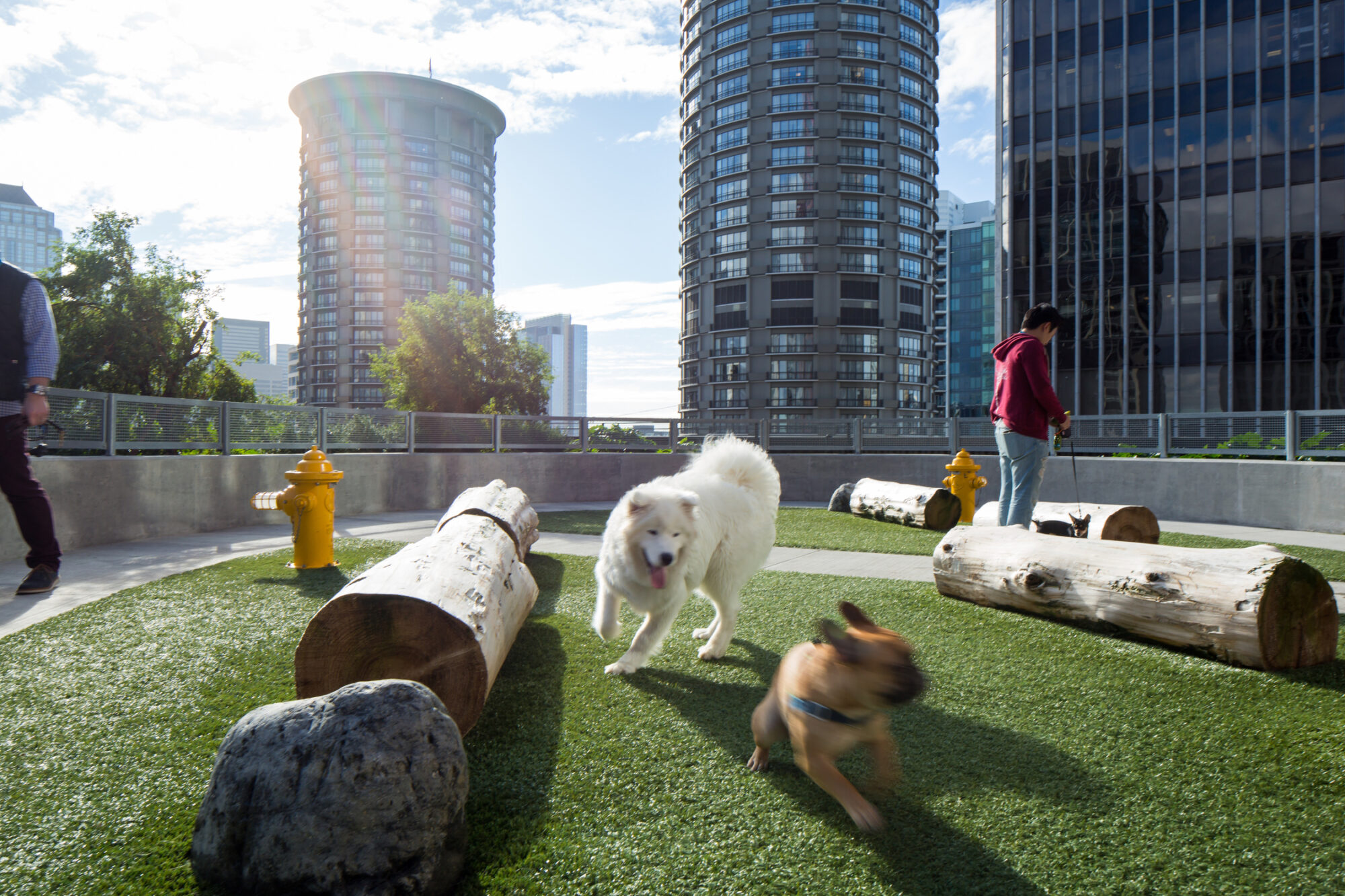 亚马逊总部综合体 -6