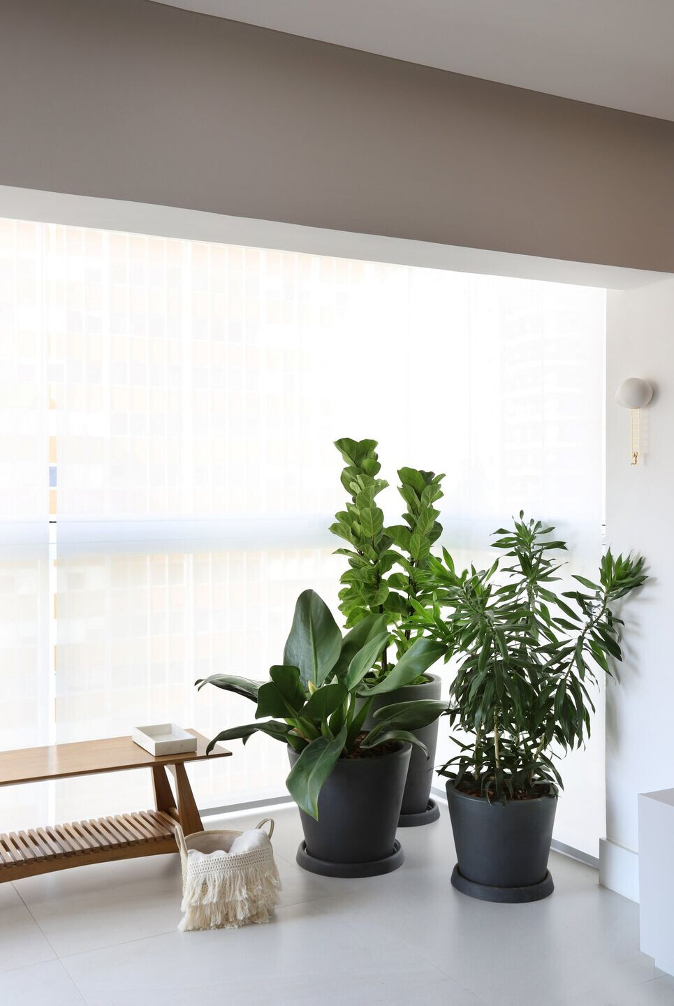 热带风情融入圣保罗公寓丨巴西圣保罗丨Dirani e Marchió-44