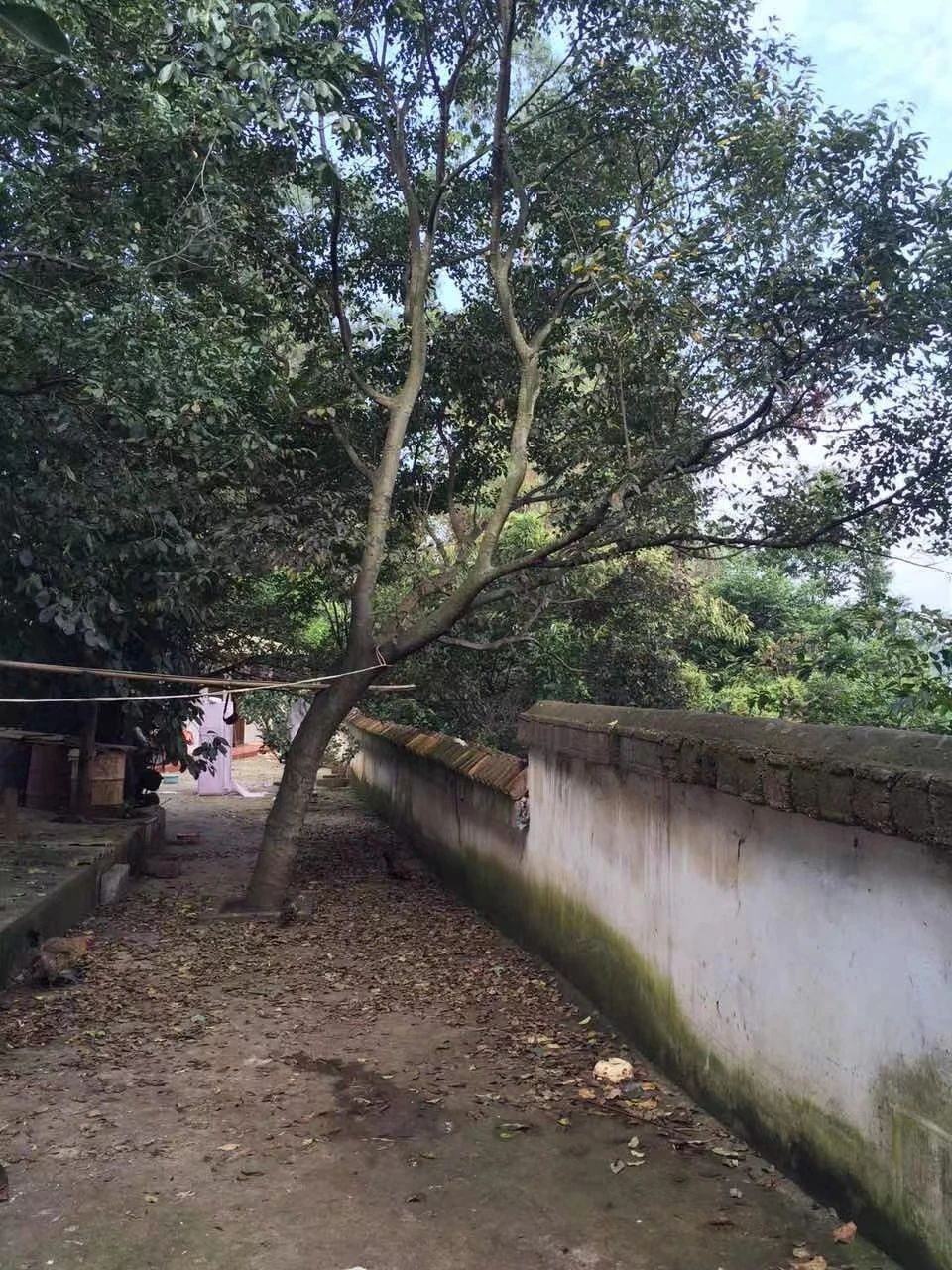 云南安宁田野红砖房丨中国云南丨杨雄-48