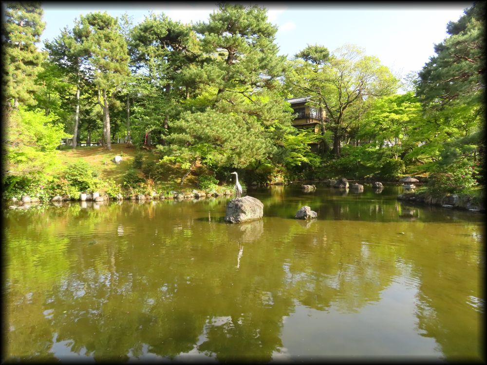 円山公園丨日本京都丨七代目小川治兵衛-25