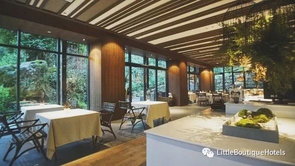 青城山坐忘森林酒店 | 一步一禅,一宿一悟的禅意度假胜地-26