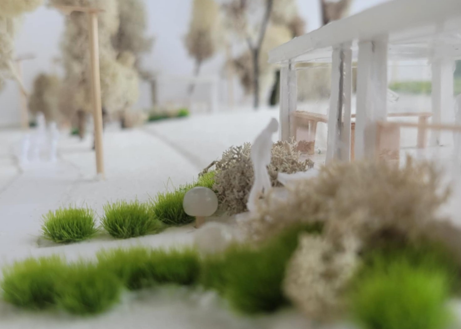 Lublin, Academic Park. Site Development.-6