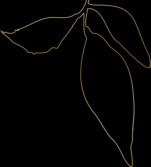 西安中海锦业拾光会所丨中国西安丨SHD山禾设计-1