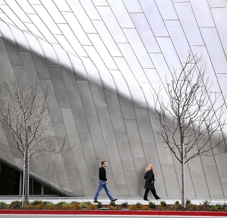 新伯克利艺术博物馆及太平洋电影档案馆（BAM,PFA）丨Diller Scofidio + Renfro-11