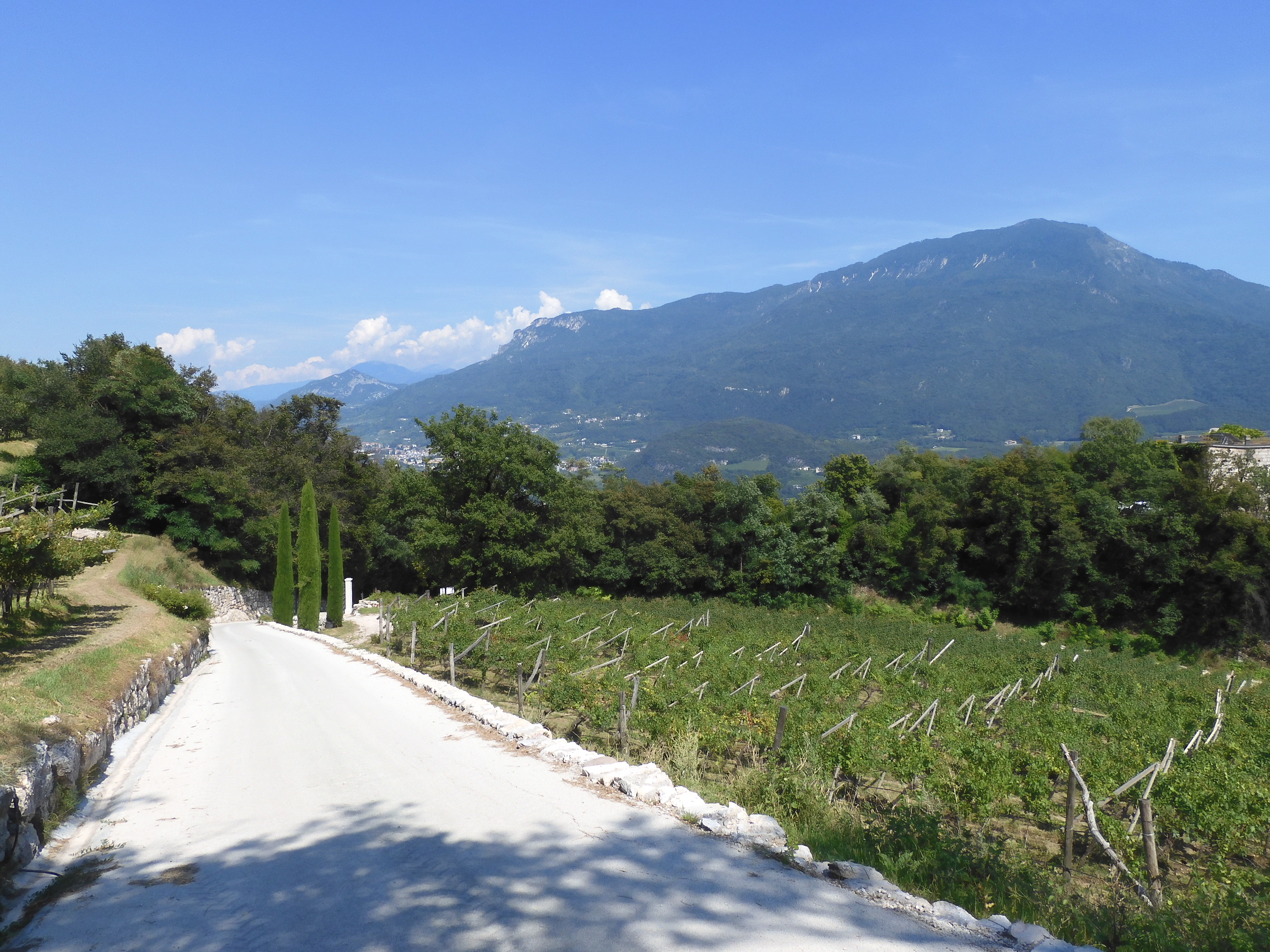 丨意大利特伦托-28