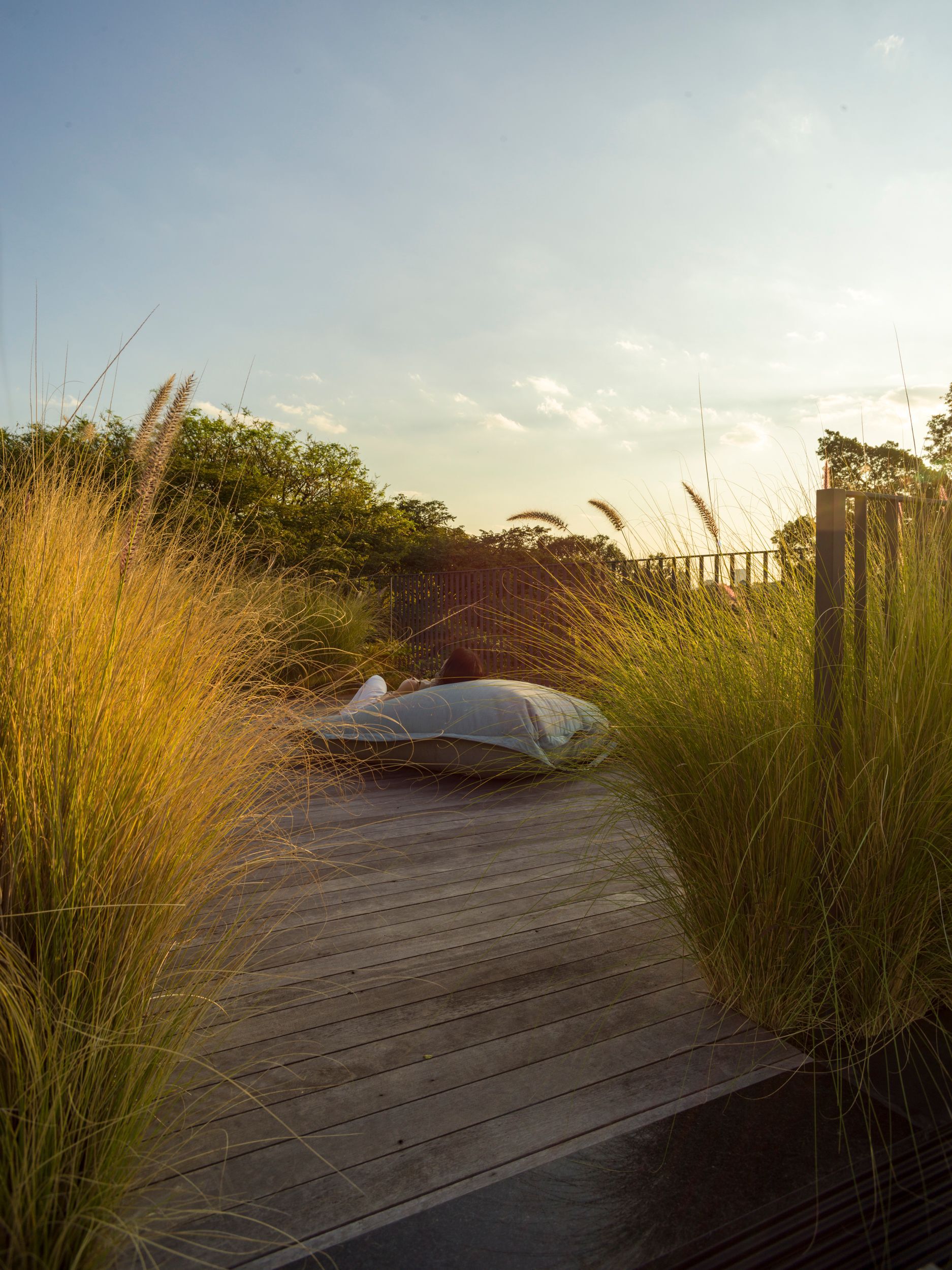 FBL 之家丨巴西圣保罗丨Claudia Haguiara Arquitetura,HGMA-52