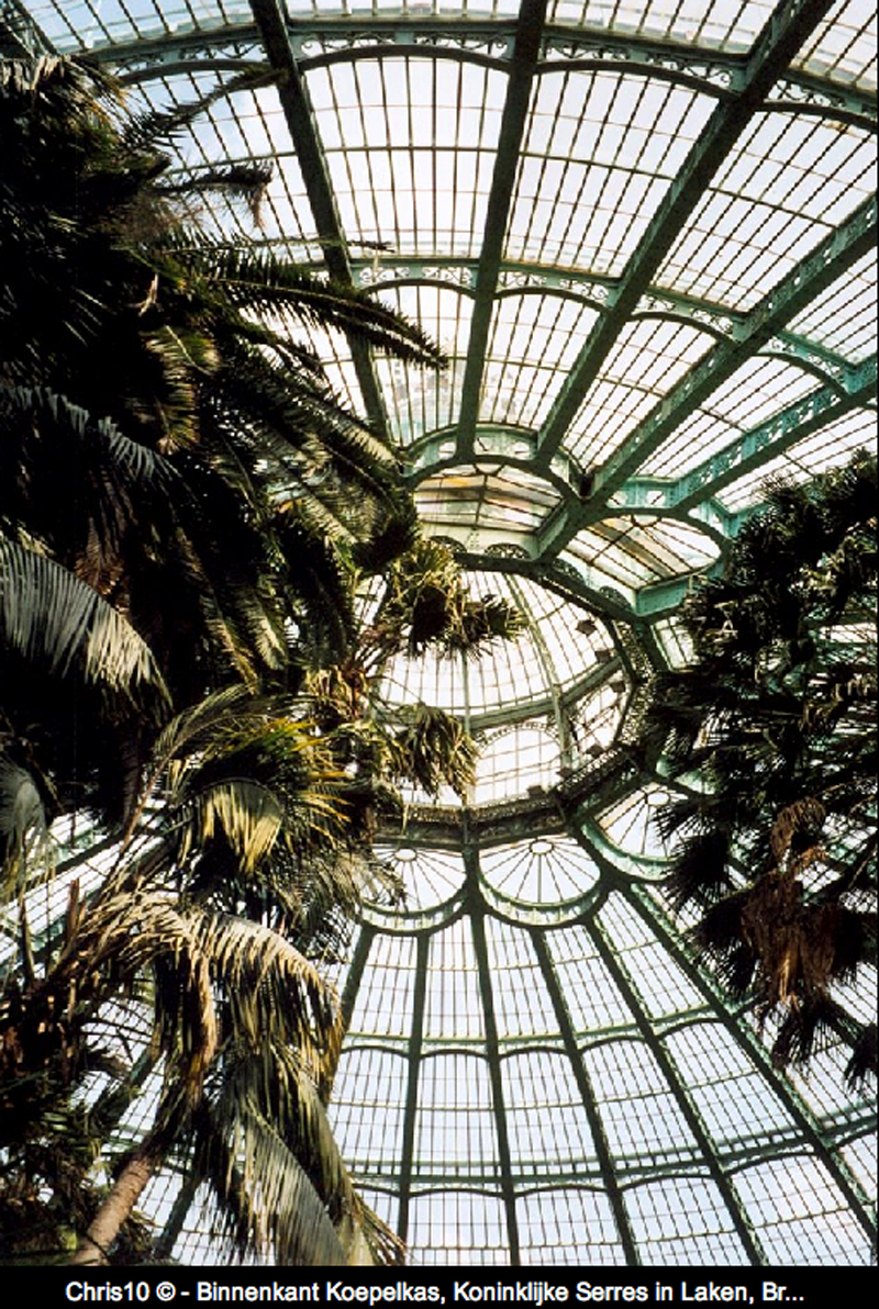Magiche serre reali di Laeken (Bruxelles) | theouterthebetter-23